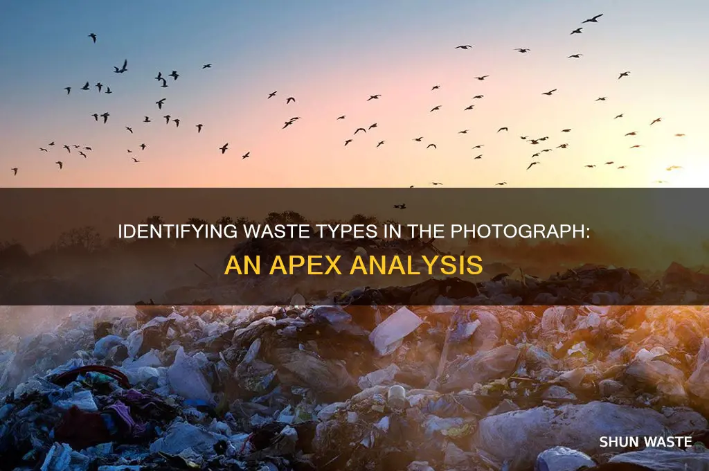 what kind of waste is shown in the photograph apex