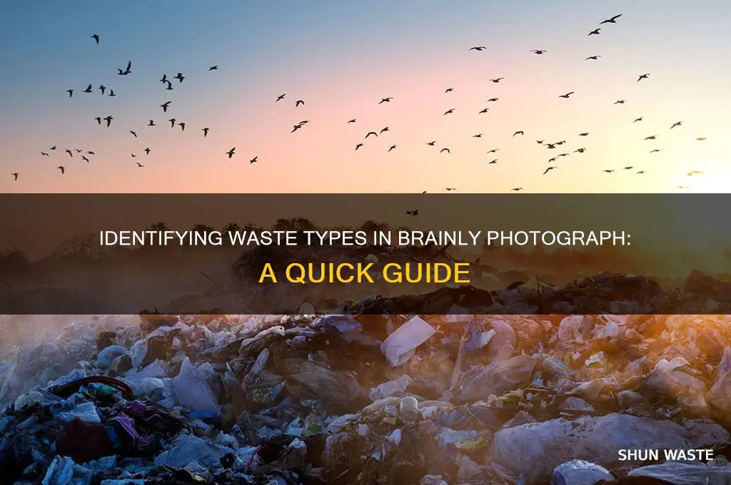 what kind of waste is shown in the photograph brainly