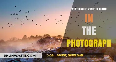 Identifying Waste Types: Analyzing the Photograph for Environmental Insights