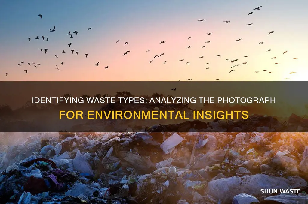 what kind of waste is shown in the photograph
