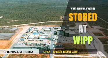 Understanding the Type of Waste Stored at WIPP Facility