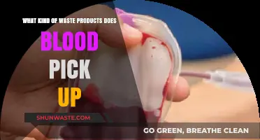Blood's Role in Collecting and Transporting Body Waste Products