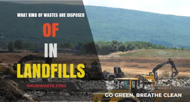 Understanding Landfill Waste: Types and Common Disposal Practices Explained