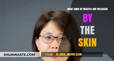 Understanding Skin Waste: Types of Byproducts Your Skin Releases Daily