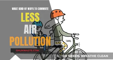 Green Commuting: Reducing Air Pollution, Improving Health