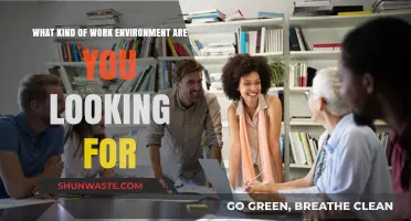 Crafting Your Ideal Work Environment: What to Look For