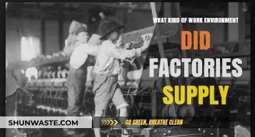 Factory Work Environments: Conditions, Challenges, and Historical Insights