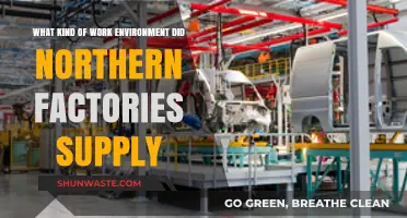 Northern Factories: Work Environments and Labor Conditions in Industrial Settings