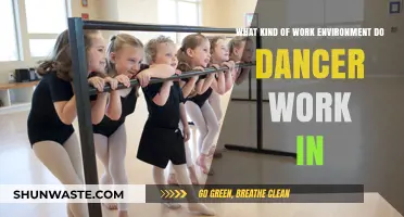 Exploring the Diverse Work Environments of Dancers: Stages, Studios, and Beyond