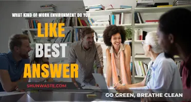 Crafting Your Ideal Work Environment: Preferences, Productivity, and Personal Success