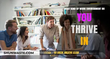 Discovering Your Ideal Work Environment: Where Productivity and Passion Align