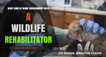 Exploring the Unique Work Environment of a Wildlife Rehabilitator