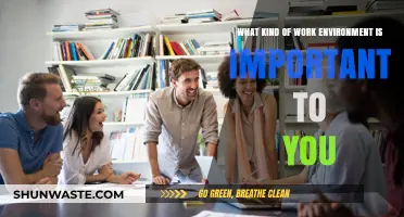 Crafting Your Ideal Work Environment: Values, Culture, and Productivity