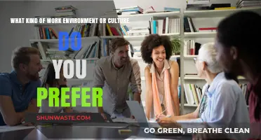 Crafting Ideal Workplaces: My Preferred Culture and Environment Explained