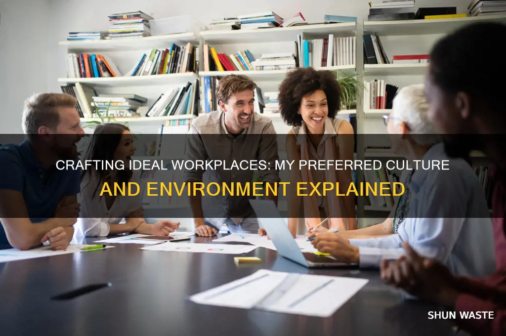 what kind of work environment or culture do you prefer