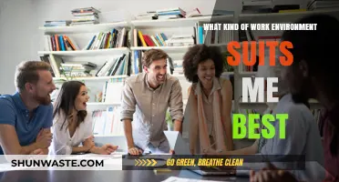 Discover Your Ideal Work Environment: A Guide to Finding Your Perfect Fit