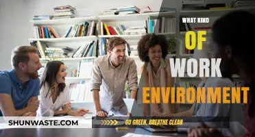 Crafting the Ideal Work Environment: Culture, Productivity, and Employee Satisfaction