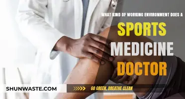 Exploring the Dynamic Work Environment of a Sports Medicine Doctor