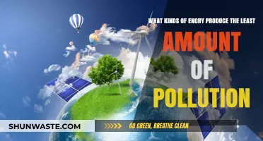 Clean Energy Sources: Minimizing Pollution, Maximizing Efficiency