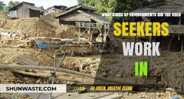 Harsh Realities: Exploring Gold Seekers' Diverse and Challenging Work Environments