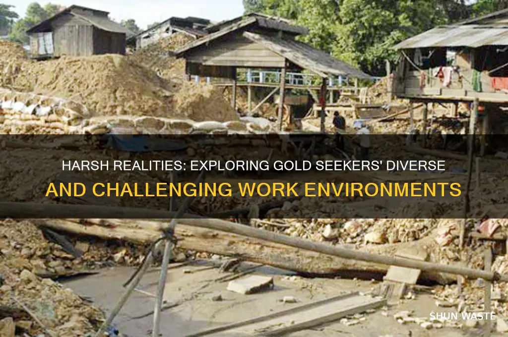 what kinds of environments did the gold seekers work in