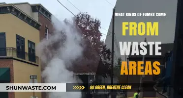 Toxic Emissions from Waste Sites: Identifying Harmful Fumes and Risks