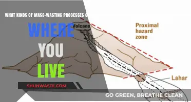 Exploring Local Mass-Wasting: Types and Causes in Your Region