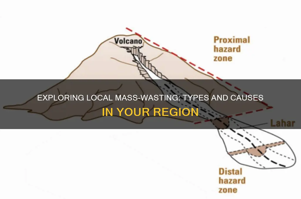 what kinds of mass-wasting processes occur where you live
