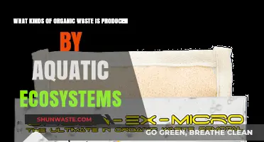Organic Waste in Aquatic Ecosystems: Types and Sources Explained