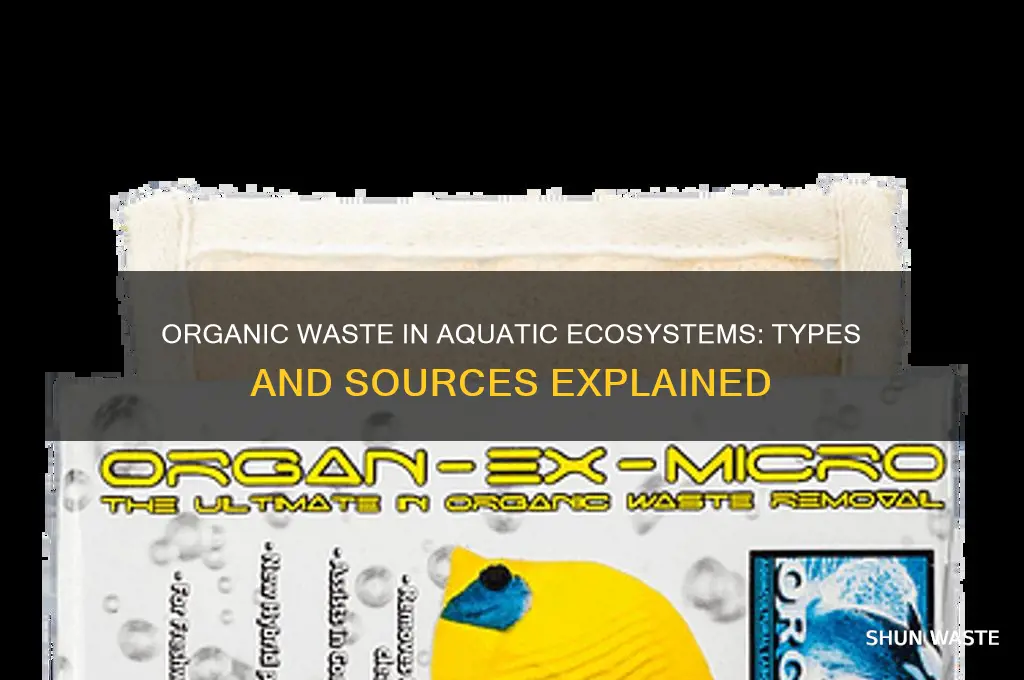 what kinds of organic waste is produced by aquatic ecosystems