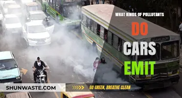 Cars: Understanding Their Harmful Emissions