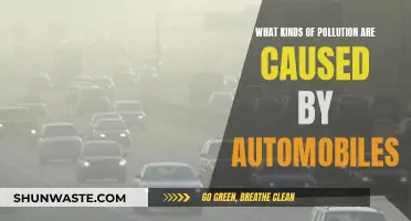 The Hidden Environmental Cost of Driving: Types of Car Pollution