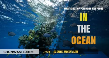 Ocean Pollution: Understanding the Different Types