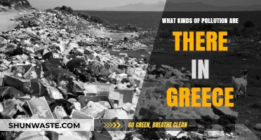 Greece's Pollution: Types and Sources