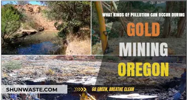 Unveiling Oregon's Gold: Understanding Environmental Hazards of Mining