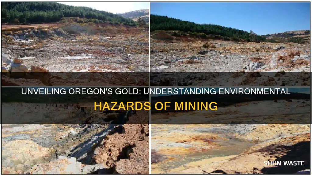 what kinds of pollution can occur during gold mining oregon