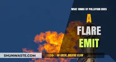 Flare Emissions: Understanding the Types of Pollution Generated