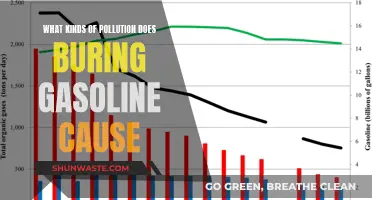 Unveiling Gasoline's Impact: Air, Water, and Soil Pollution Explained