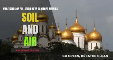 Russia's Pollution Crisis: Soil and Air Damage