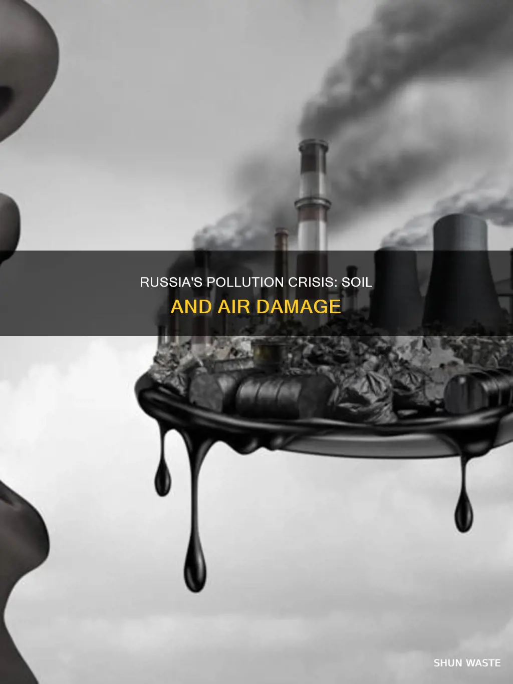 what kinds of pollution have damaged russias soil and air