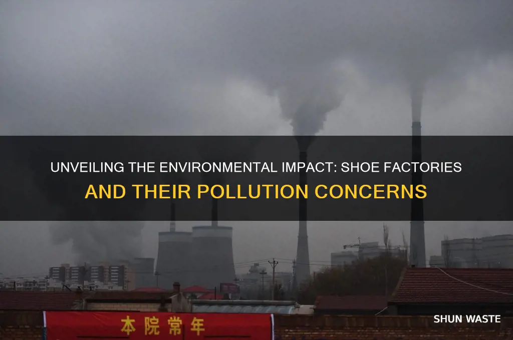 what kinds of pollutions could shoe factories cause