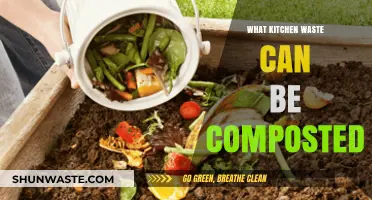 From Scraps to Soil: A Guide to Composting Kitchen Waste