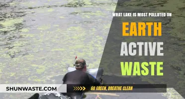 Earth's Most Polluted Lake: Active Waste Crisis Unveiled
