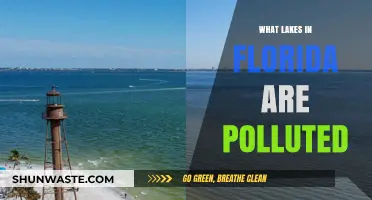 Florida's Polluted Lakes: A Troubling Trend