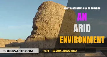 Exploring Arid Landscapes: Unique Landforms Shaping Desert Environments