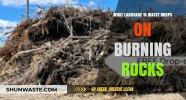 Decoding 'Waste Drops on Burning Rocks': Language Origins and Meaning Explored