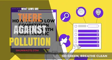 Anti-Pollution Laws: Protecting Our Planet and Health