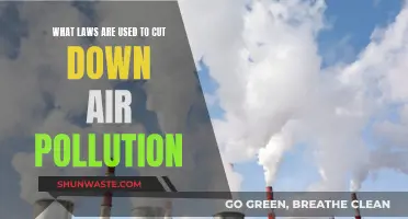 Strategies to Combat Air Pollution: Legal Approaches