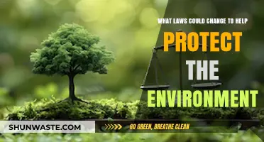 Transformative Legal Reforms to Safeguard Our Planet's Future