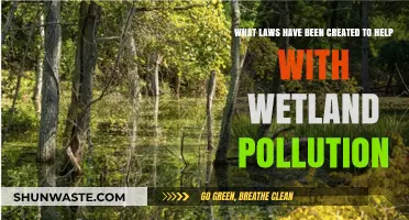 Wetland Pollution: Laws for Protection and Conservation
